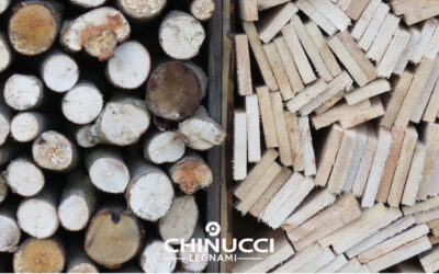 Legno Massello o Lamellare: Guida Tecnica alle Differenze