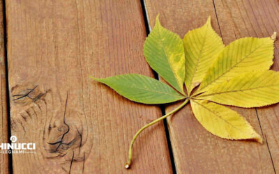 Decking esterno in legno di castagno