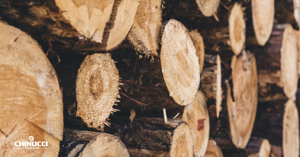 Quali sono le caratteristiche del legno di castagno?