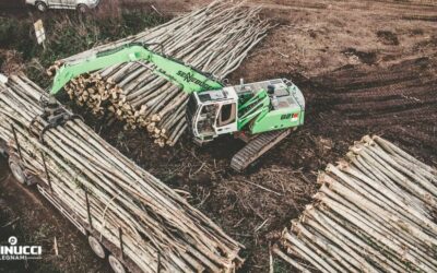Sostenibilità e Certificazioni del Legno di Castagno